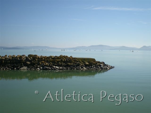 DSCN0771.JPG