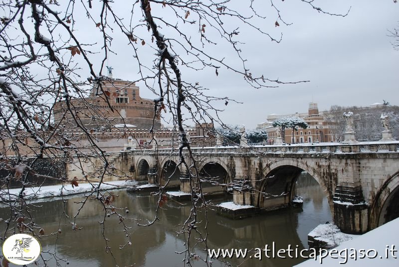 DSC_0131.JPG