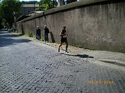 IMGP2772