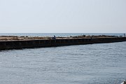 DSC_0081
