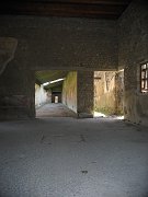 IMG_2818