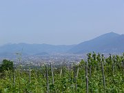 P1040238