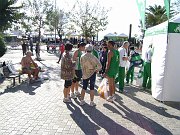 DSC01022
