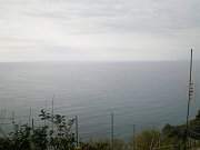 IMGP8444
