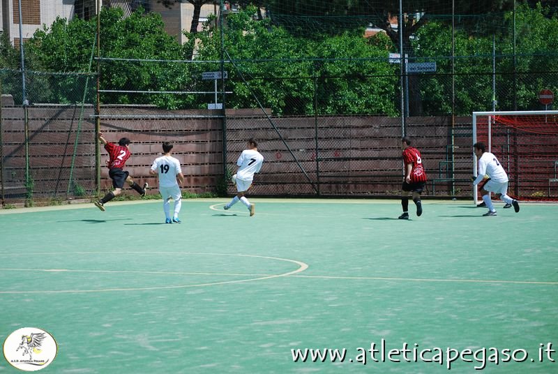 DSC_0216.JPG