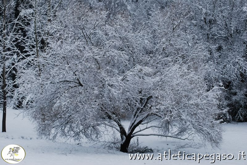 DSC_0263.JPG