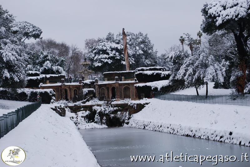 DSC_0278.JPG